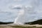 Yellowstone National Park Geyser