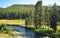 Yellowstone National Park landscape. Stream of running water sounded by prairies and forests.