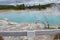 YELLOWSTONE NATIONAL PARK, WYOMING - JUNE 9, 2017: Wall Pool of the Sapphire Group in the Biscuit Basin Area of Upper Geyser Basin