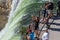 YELLOWSTONE NATIONAL PARK, WYOMING, USA - JULY 17, 2017: Tourists and a tour guide watching Lower Yellowstone Falls. Grand Canyon