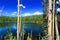 Yellowstone Scaup Lake Landscape