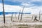 Yellowstone thermal landscape