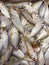 Yellowstripe scad is a type of salted fish that is sold in the market