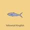 yellowtail kingfish 2 colored line icon. Simple purple and gray element illustration. yellowtail kingfish concept outline symbol d