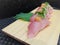 Yellowtail nigiri