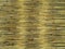 Yelow natural bamboo plank fence texture