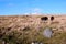 The Yelverton to Princetown railway track, Dartmoor Devon England