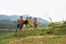 Yen Bai, Vietnam - Sep 17, 2016: Ethnic minority kids playing on fence by terraced field in Van Chan district