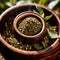 Yerba Mate, traditional herb drink, brewed fresh herbs