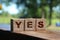 Yes word on wooden cubes, nature background. Positive answer business concept