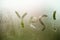 Yes written on foggy window background. Positive agreement sign, close up