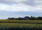 Yesterday`s Barns in Manitoba