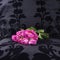 Yesterday\'s pink roses left at a black velvet seat