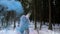 Yeti fairy tale character in winter forest. Outdoor fantasy slow motion footage.