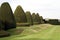 Yew topiary garden, Chirk castle, Wales, England