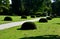 Yews shaped into the shapes of flattened spheres, lenses, hemispheres with round shapes in long rows symmetrically along the path