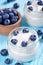 Ygurt with blueberries