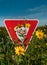 Yield Sign in Flowers