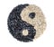 An yin and yang symbol made of sunflower seeds on white backgound