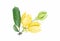 Ylang-Ylang flower,Yellow fragrant flower on white background