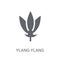 Ylang-ylang icon. Trendy Ylang-ylang logo concept on white background from Nature collection