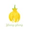 Ylang ylang yellow fragrant flower isolated on white background. Vector illustration, icon.