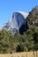 Yoesmite`s Half Dome peaking thru the trees