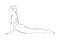 Yoga cobra pose or bhujangasana. Woman practicing strengthing yoga pose. Vector illustration isolated on white