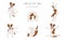 Yoga dogs poses and exercises poster design. Jack Russel terrier clipart
