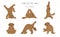 Yoga dogs poses and exercises poster design. Labradoodle clipart