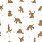 Yoga dogs poses and exercises poster design. Labradoodle seamless pattern