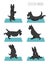 Yoga dogs poses and exercises. Scottish terrier clipart