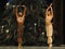 Yoga India-Arabia Music Coffee -The Ballet Nutcracker