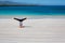 Yoga Instructor performs hand stand on Cerro Brujo Beach in Galapagos