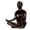 Yoga man lotus pose stylized figure golden dark reflections