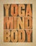 yoga, mind, body word abstract - text in letterpress wood type, meditation, wellness and lifestyle concept