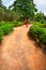 Yoga natarajasana dancer pose in Lalbagh garden