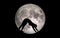 Yoga pose Downward dogs Adhomukhasana silhouette moon