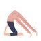 Yoga pose plough or halasana vector illustration. Flat modern vector illustration of yoga pose. Hand drawn illustration.