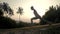 Yoga practitioner does surya namaskar on road slow motion