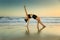 Yoga retreat. Beautiful asana. Slim woman practicing yoga on the beach. Stretching exercise. Flexible body. Copy space. Horizontal