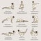 Yoga, sports, gymnastics. Human body health. Healthy lifestyle. Asanas for Vishuddha Chakra. Cobra pose, plank, camel pose, boat p