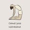 Yoga, sports, gymnastics. Human body health. Healthy lifestyle. Asanas for Vishuddha Chakra. Cobra pose, plank, camel pose, boat p