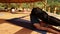 Yoga teacher showing body stretch exercise during seminar for group of people