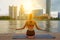 Yoga time. View from back of young woman in sportswear, is engaged in yoga, sitting on pier in lotus pose
