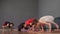 Yoga trainer woman stands in Crow pose looking at group