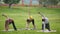 Yoga training in park - young sportsmen performs flexibility exercise outdoor