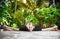 Yoga in the tropic garden