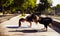 Yoga. Two attractive woman doing yoga exersices in the park