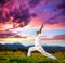 Yoga warrior pose in mountains